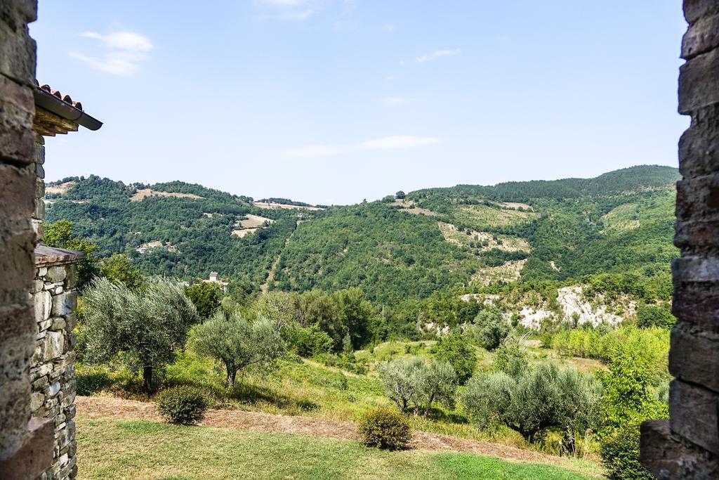 Agriturismo Montelovesco Brunetta ห้อง รูปภาพ