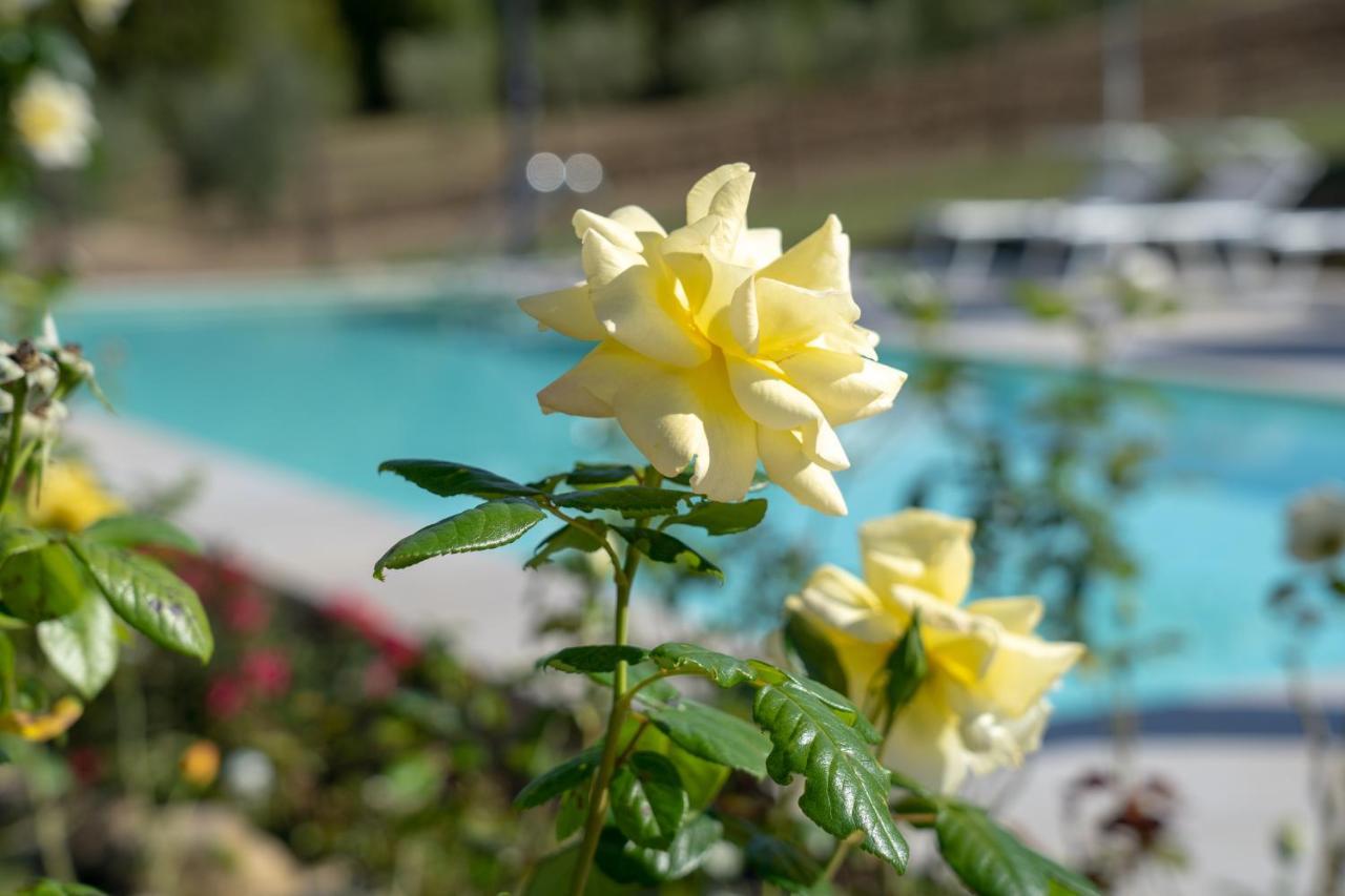 Agriturismo Montelovesco Brunetta ภายนอก รูปภาพ