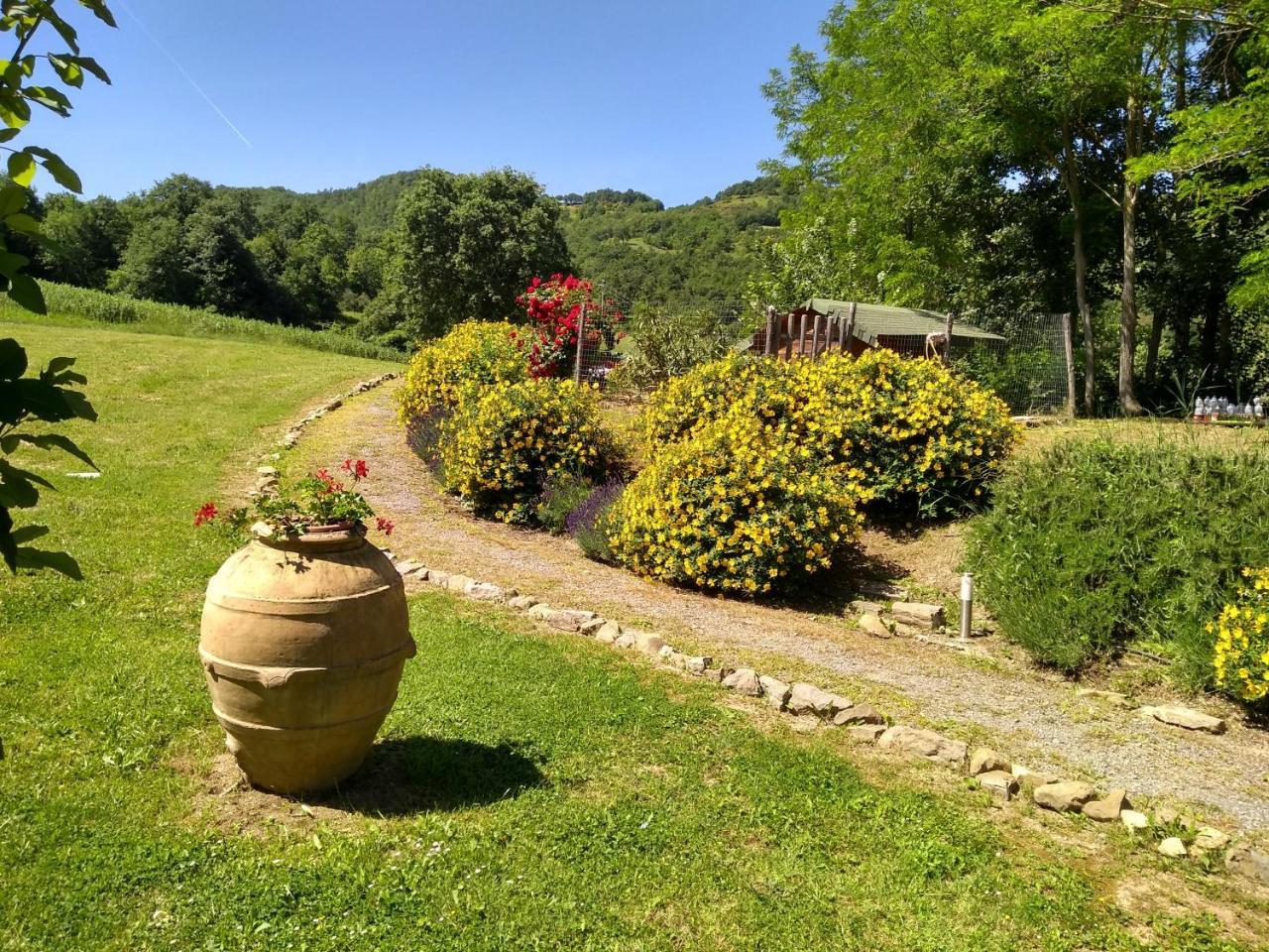 Agriturismo Montelovesco Brunetta ภายนอก รูปภาพ