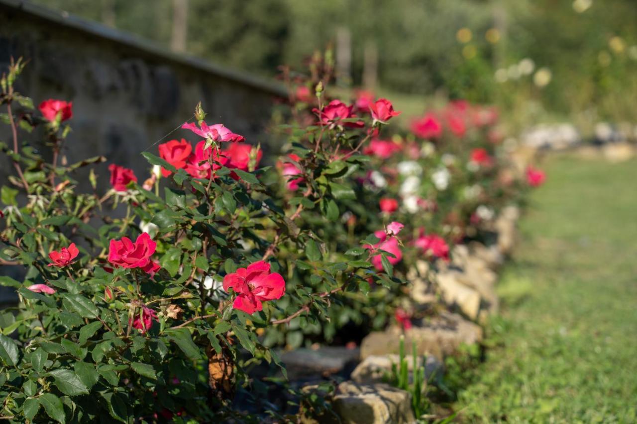 Agriturismo Montelovesco Brunetta ภายนอก รูปภาพ